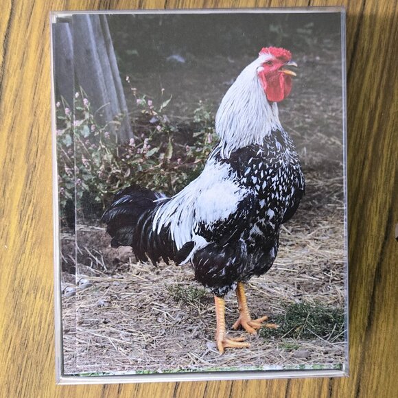 Four Boxes of Blank Notecards (48 total) with Birds and Butterflies - Picture 4 of 9